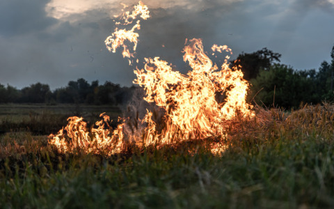 Incendio sul monte Piastra: fiamme a 35 metri dalla pineta