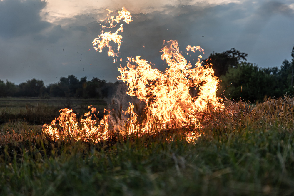 Incendio sul monte Piastra: fiamme a 35 metri dalla pineta