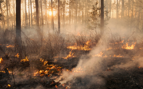 Incendi boschivi, rinviati a ottobre i Feu d’la Madona
