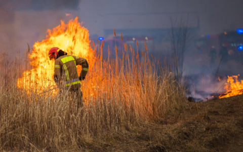 Fiamme negli orti comunali di Racconigi, coinvolti alcuni capanni