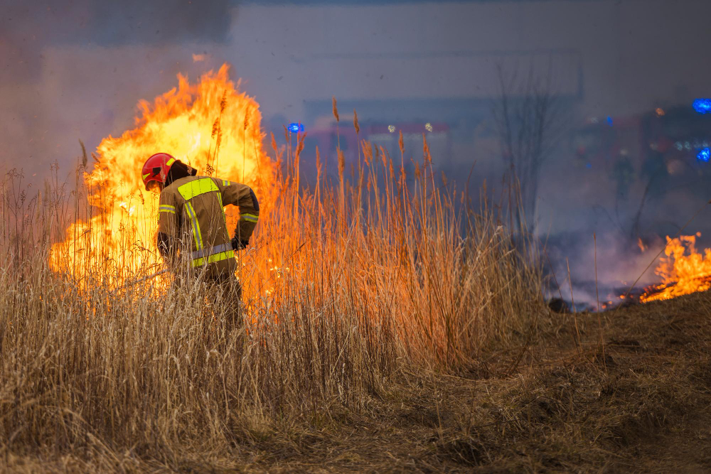 Fiamme negli orti comunali di Racconigi, coinvolti alcuni capanni