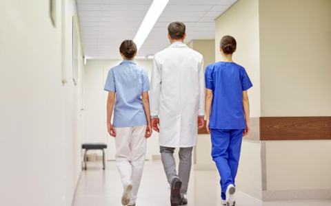 Peste suina, nessun nuovo caso in Piemonte: positività ferme a 10