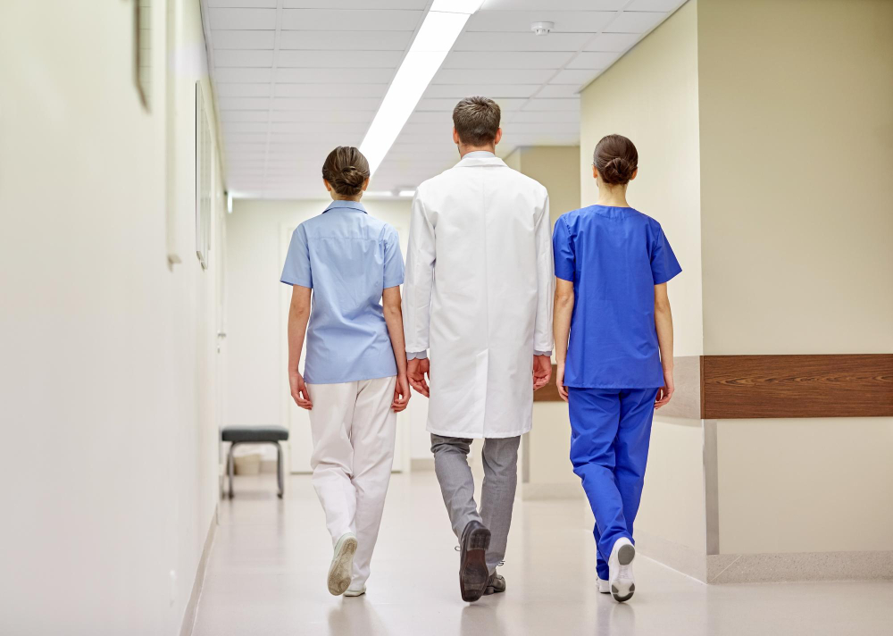 Peste suina, nessun nuovo caso in Piemonte: positività ferme a 10