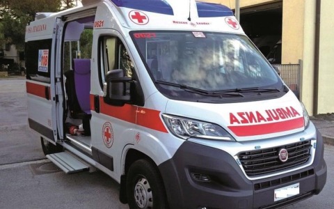Ferita sulla cancellata mentre cerca di salvare il cane