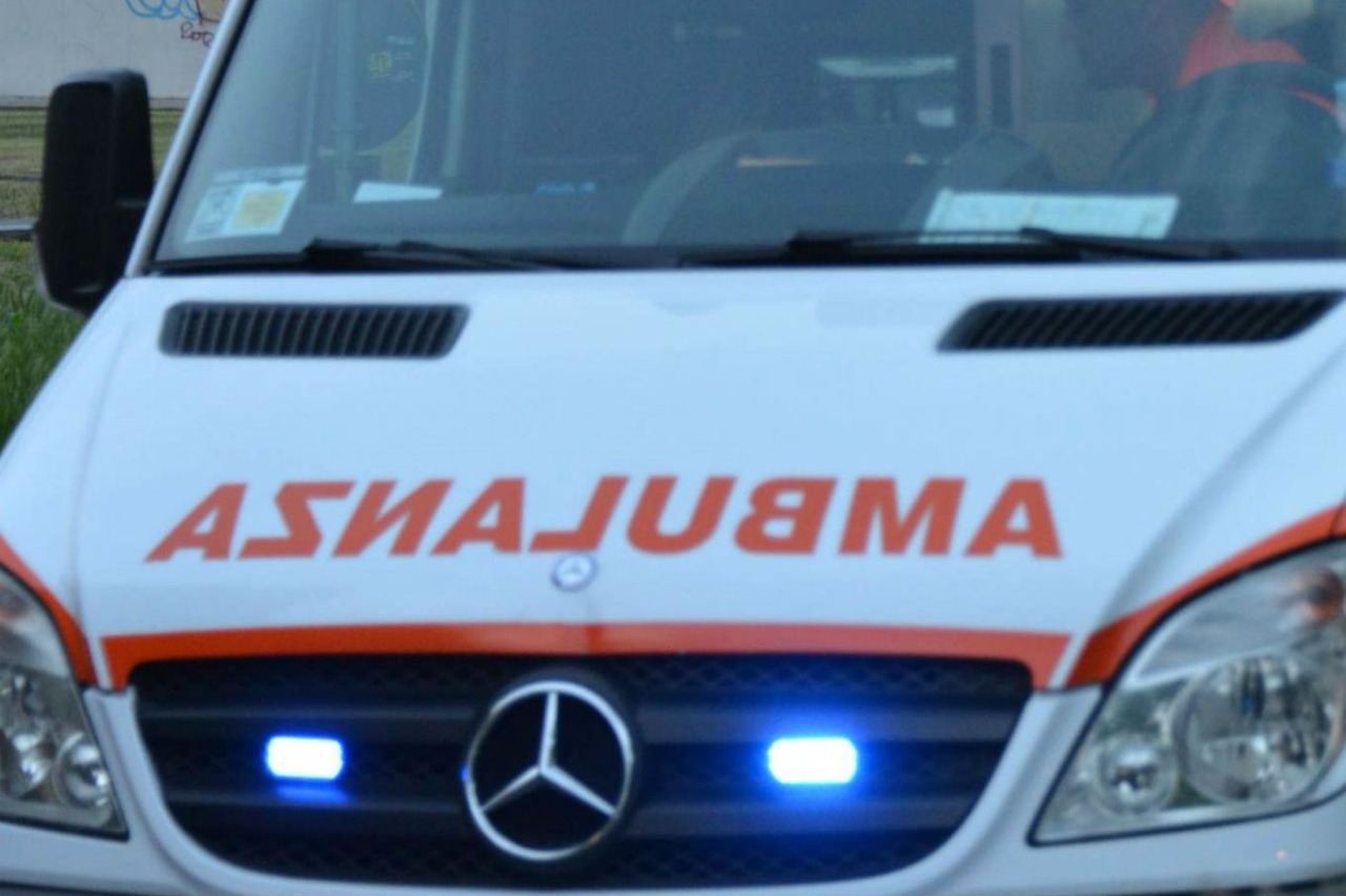 Cani liberi in strada, l’allarme di un ciclista