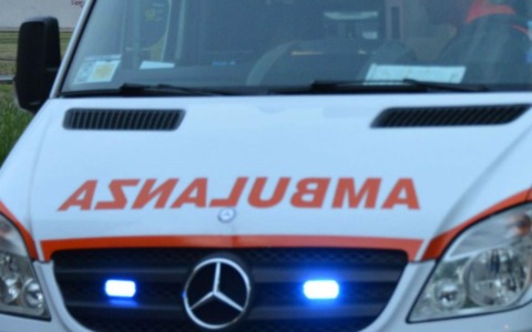 Cani liberi in strada, l’allarme di un ciclista