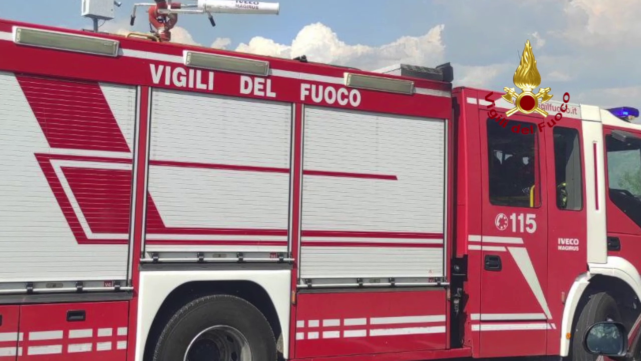 Intervento all’alba dei vigili del fuoco per alberi pericolanti
