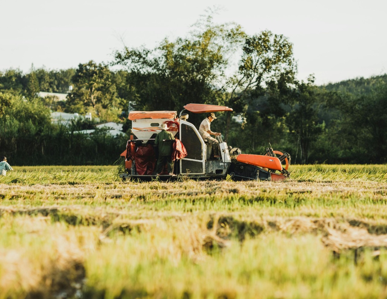 Il Roero guarda ad Alba per il futuro dell’agricoltura