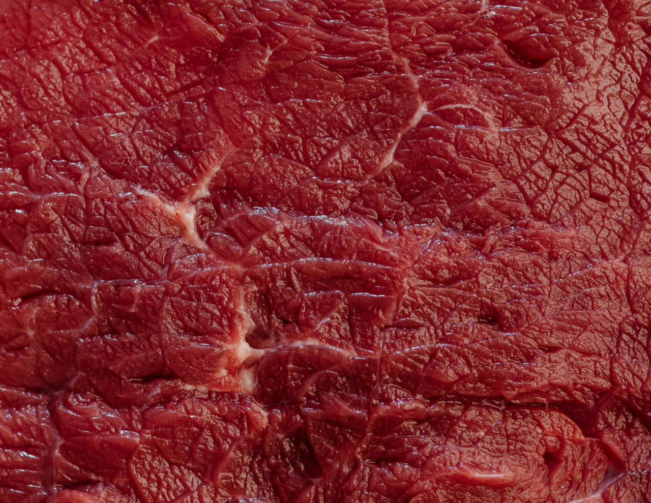 Stop dell’Ue a carne e prodotti animali dal Brasile