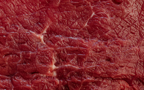 Stop dell’Ue a carne e prodotti animali dal Brasile