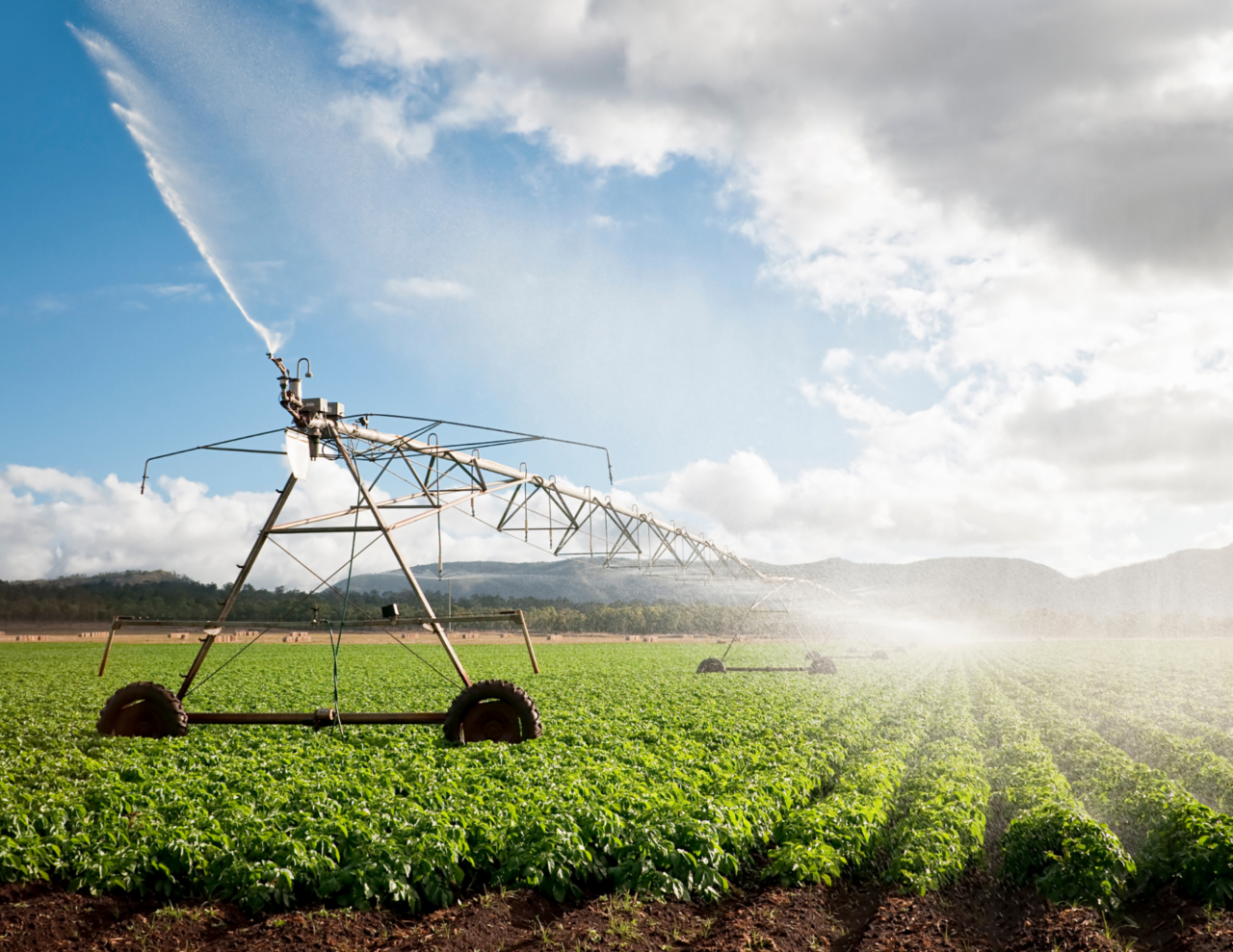 Piemonte, oltre 3,3 milioni per l’irrigazione agricola