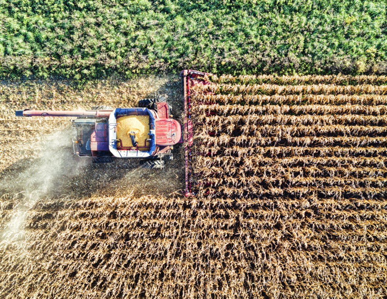 Premiate Daniela Allaria e Giuliana Turra per l’impegno agricolo